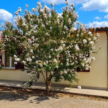 San Giuseppe Apartamento