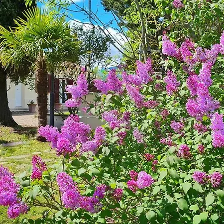 Apartamento San Giuseppe *